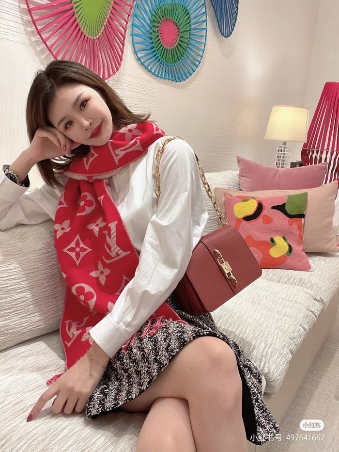 Louis Vuitton Scarf LV00151